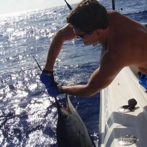 Meet your Posher, Ronnie